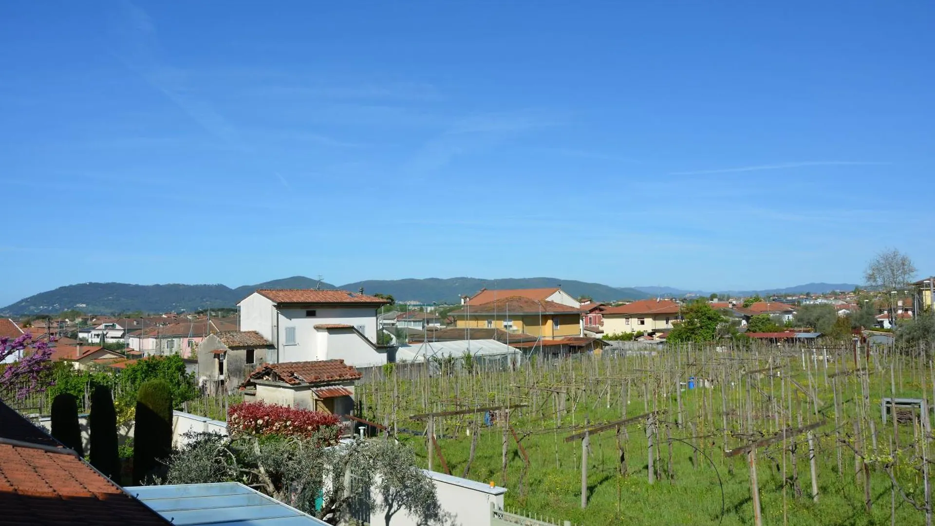 Guest house Camere Lavigna Di Nardi Maria Carrara Italy